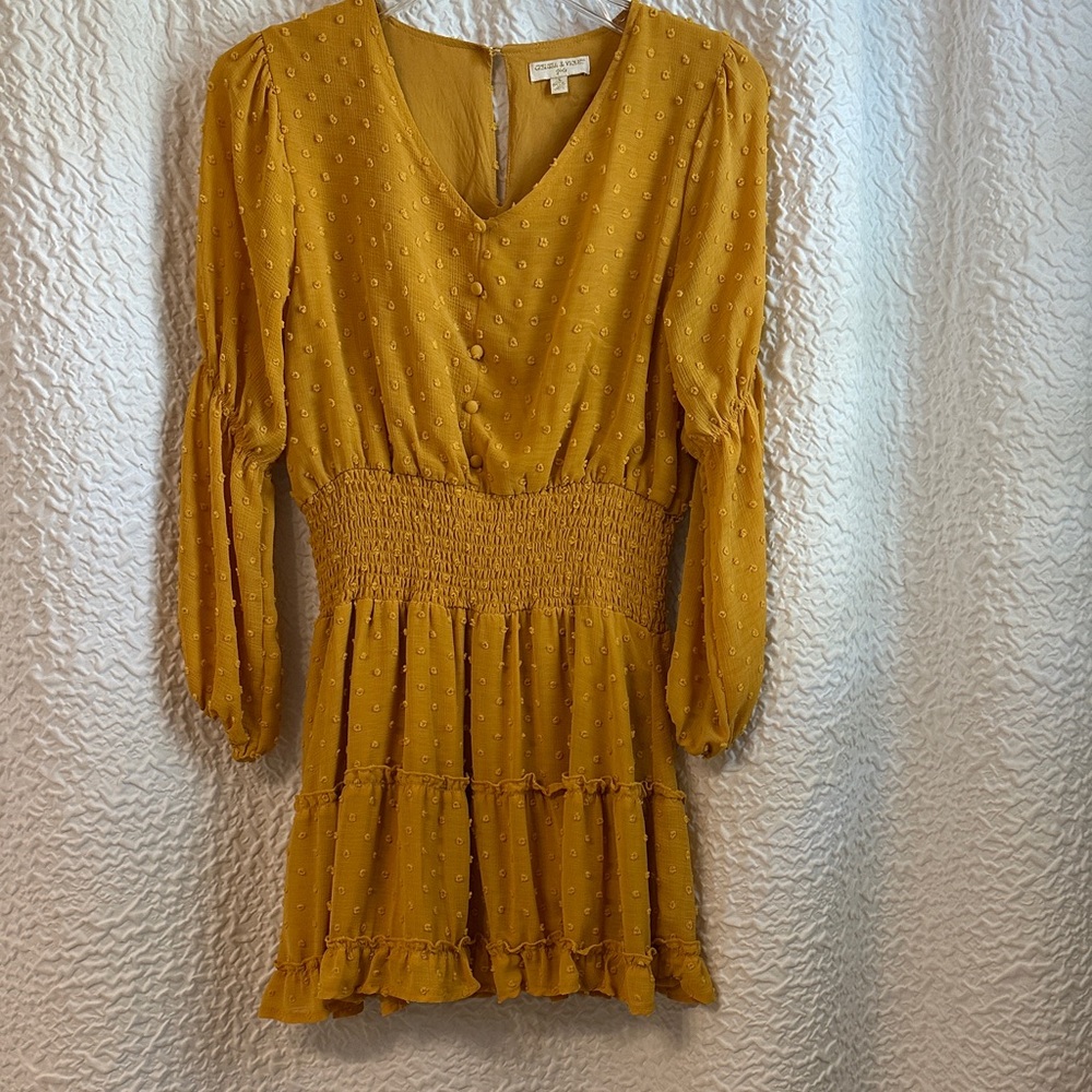Elegant Mustard Yellow Dress